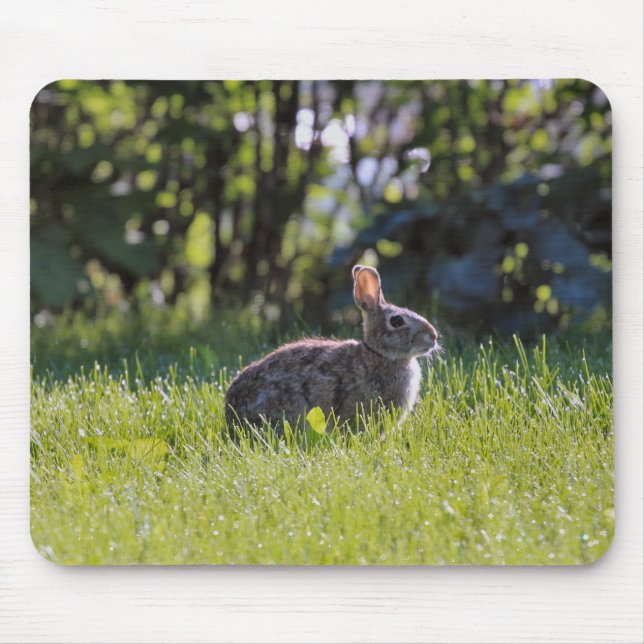 Tapis De Souris Bunny Sunny (Devant)