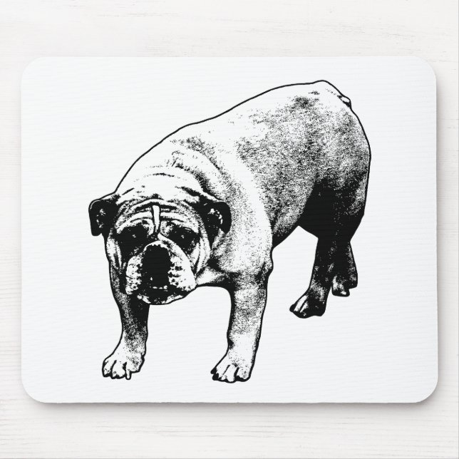 Tapis De Souris Bureau Neige calme (Devant)
