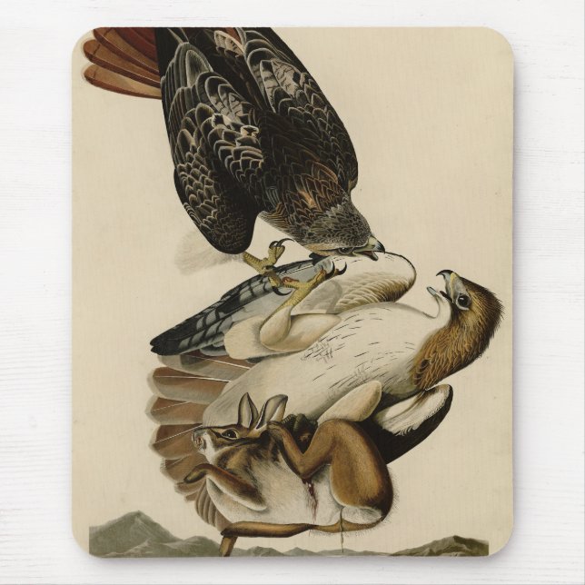 Tapis De Souris Buse à queue rouge des oiseaux d'Amérique d'Audubo (Devant)