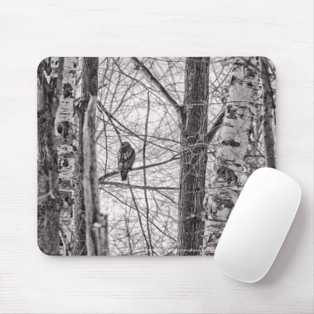 Tapis De Souris Buse à queue rousse P8443 (Avec souris)