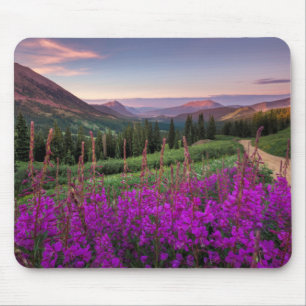 Tapis De Souris Butte crêtée du lever de soleil de fleur