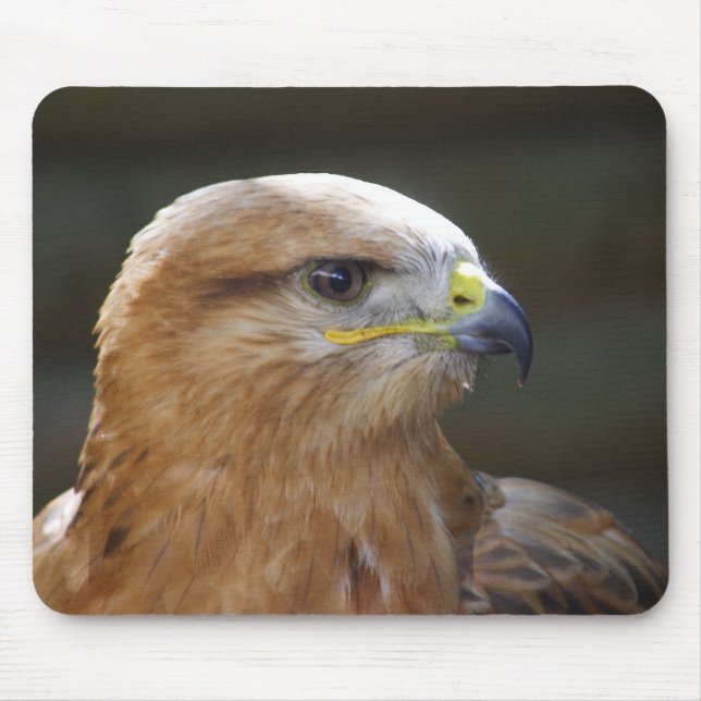 Tapis De Souris Buzzard à pattes longues (Devant)