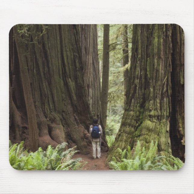 Tapis De Souris CA, parc d'État de Jedediah Smith Redwoods, (Devant)