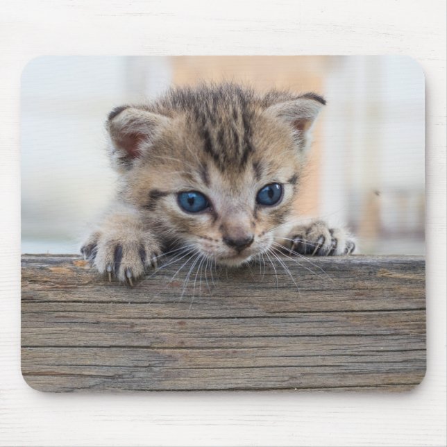 Tapis De Souris Cachotterie (Devant)