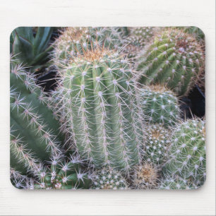 Tapis De Souris Cactus