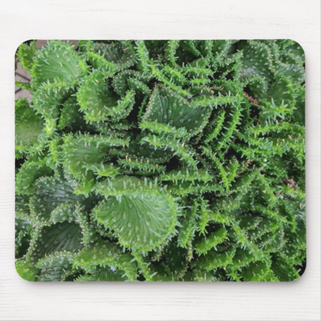 Tapis De Souris Cactus (Devant)