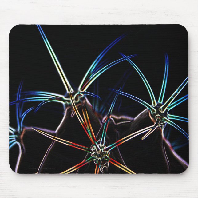 Tapis De Souris Cactus 1 mpcnm (Devant)