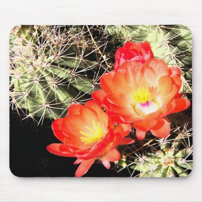 Tapis De Souris Cactus de floraison la nuit (Devant)
