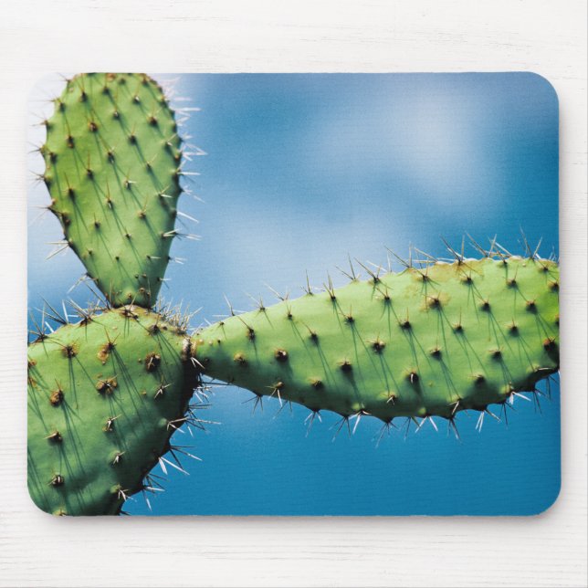 Tapis De Souris Cactus de Prickley (Devant)