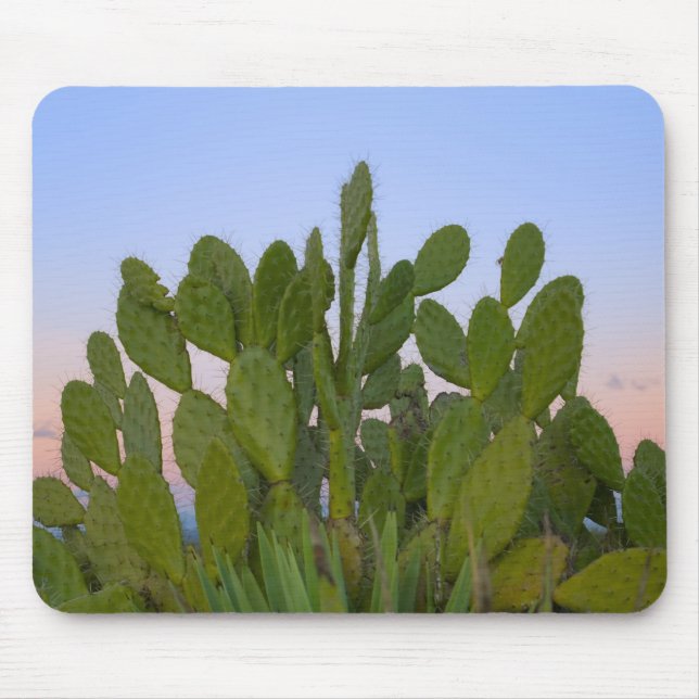 Tapis De Souris Cactus et sisal en forêt sèche (Devant)
