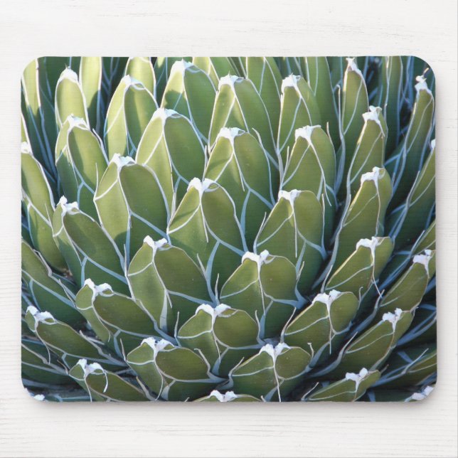 Tapis De Souris Cactus frais Mousepad (Devant)