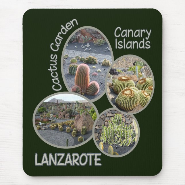 Tapis De Souris Cactus Garden mousepad (Devant)