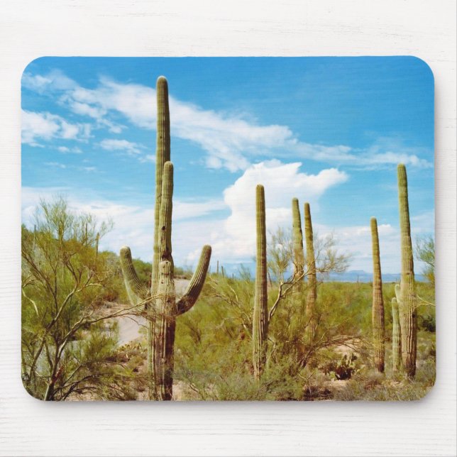 Tapis De Souris Cactus paysage mousepad (Devant)