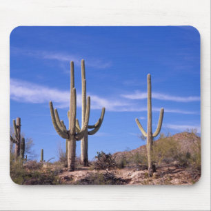 Tapis De Souris Cactus saguaro géant multi-bras, Saguaro
