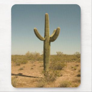 Tapis De Souris Cactus solitaire