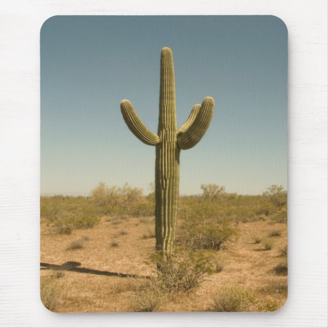Tapis De Souris Cactus solitaire (Devant)