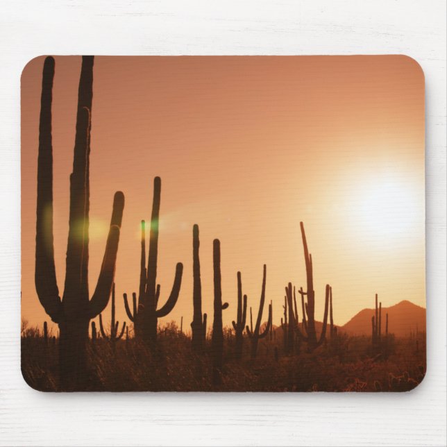 Tapis De Souris Cactus sur le désert (Devant)