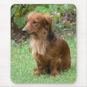 Tapis De Souris Cadeau pour amateur de chiots saucisses Doxin et d