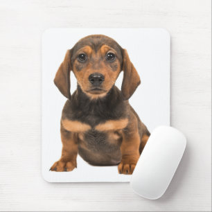 Tapis De Souris Cadeau pour amateur de teckel, chien de Vienne mig