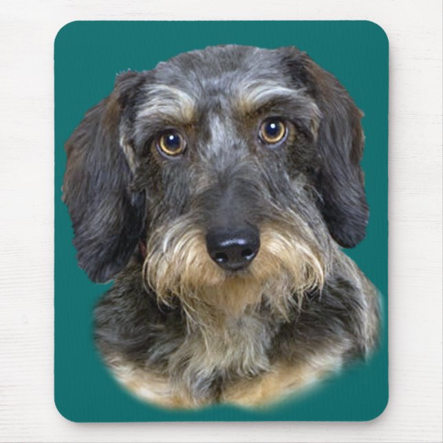 Tapis De Souris Cadeaux aux cheveux longs de portrait de teckel (Devant)