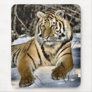 Tapis De Souris Cadeaux d'art d'amants de tigre