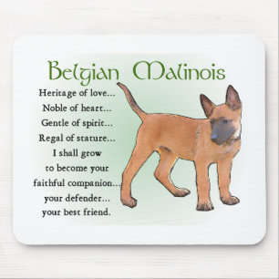 Tapis De Souris Cadeaux Malinois belges