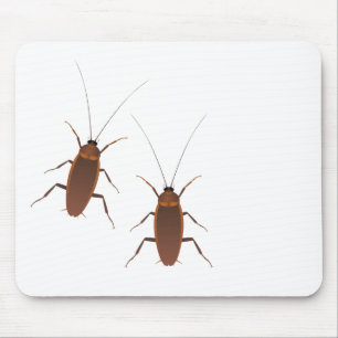 Tapis De Souris Cafard Insecte