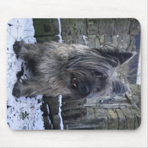 Tapis De Souris Cairn Terrier sur une ferme écossaise