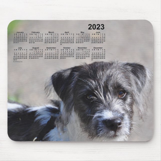 Tapis De Souris Calendrier des chiots 2023 par Janz Jack Russell T (Devant)