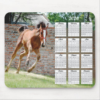Tapis De Souris Calendrier d'exécution du Colt 2026
