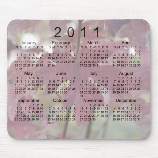 Tapis De Souris Calendrier Paysages 2011 (Devant)