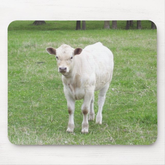 Tapis De Souris Calf blanc (Devant)
