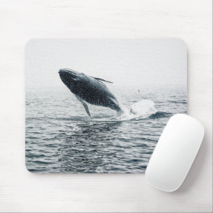 Tapis De Souris Calf de baleine à bosse