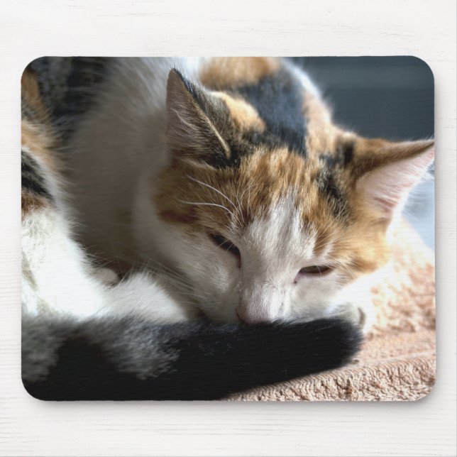 Tapis De Souris Calico (Devant)