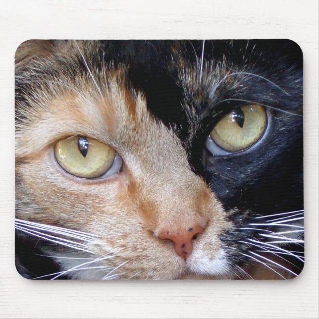 Tapis De Souris Calico cat mousepad (Devant)