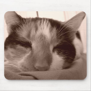 Tapis De Souris Calico Cat Mousepad