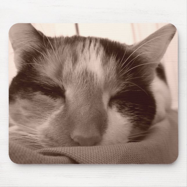 Tapis De Souris Calico Cat Mousepad (Devant)