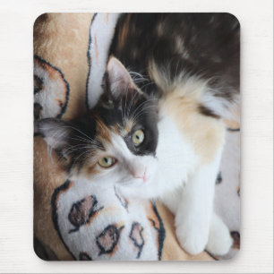 Tapis De Souris Calico Cricket Kitty