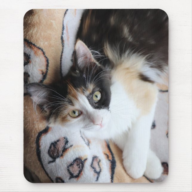 Tapis De Souris Calico Cricket Kitty (Devant)