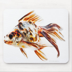 Tapis De Souris Calico Fantail Comet poisson rouge