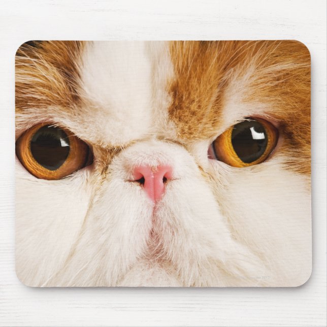 Tapis De Souris Calico Harlequin Perse (Devant)