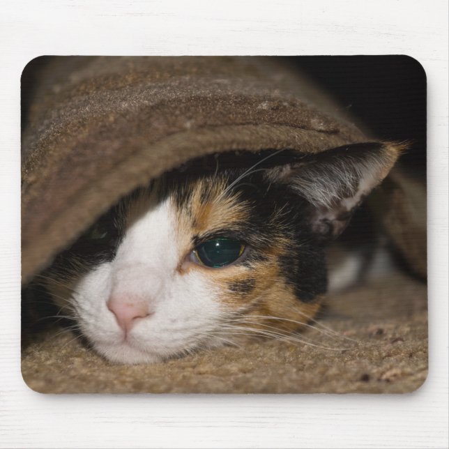 Tapis De Souris Calico Taco (Devant)