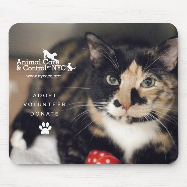 Tapis de souris "calicot " (Devant)