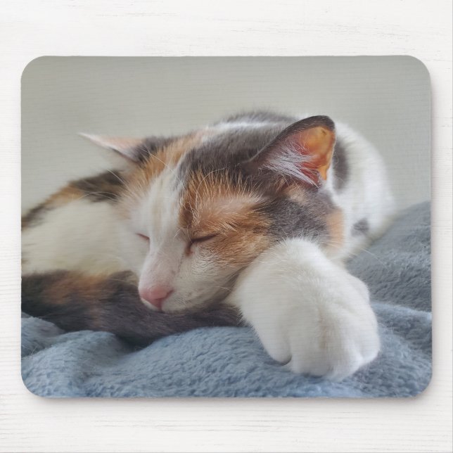Tapis De Souris Calicus dormant (Devant)