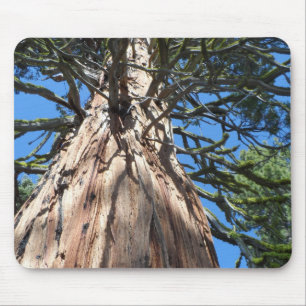Tapis De Souris California Giant