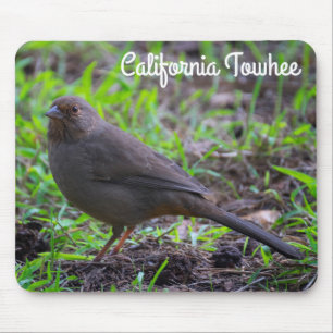 Tapis De Souris California Towhee