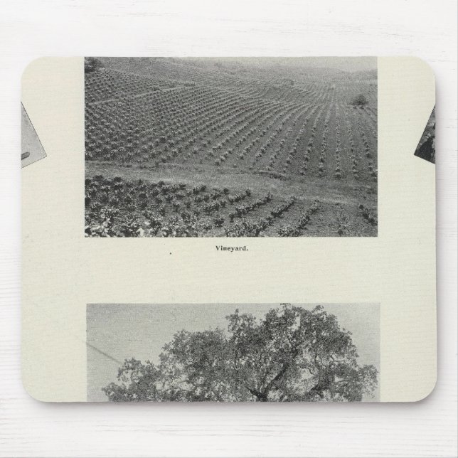 Tapis De Souris Californie 4 (Devant)