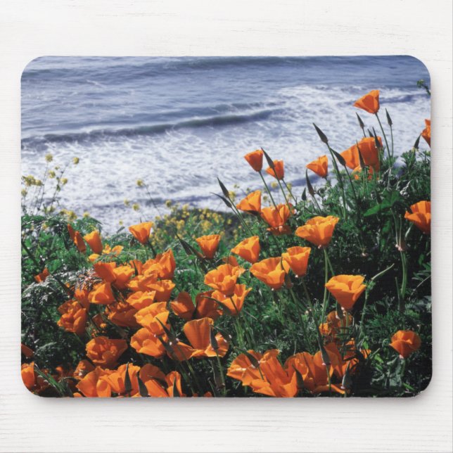 Tapis De Souris Californie, Big Sur Coast, Californie Pavot (Devant)