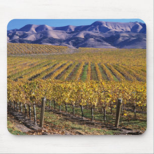 Tapis De Souris Californie, comté de San Luis Obispo, vallée d'Edn