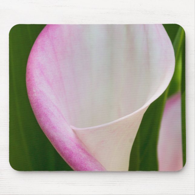 Tapis De Souris Calla Pano (Devant)